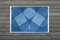 Symmetrical Icon, 2022, Cyanotype 5