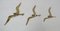 German Flying Birds in Brass Wall Sculptures, Set of 3 1