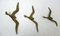 German Flying Birds in Brass Wall Sculptures, Set of 3 3