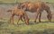 Unknown, Grazing Horses, Original Painting, Early 20th Century, Framed 2