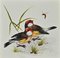 Unknown, Birds, Original Watercolor, 1970s, Image 1