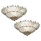 Murano Glass Leaf Ceiling Light Chandelier, Image 1