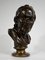 After J.A. Houdon, Voltaire Sculpture, 19th-Century, Bronze 8