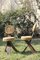 Brutalistischer französischer Stuhl aus Holz, Stroh & Eisen von Audoux Minet, 1950er 2