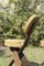 French Brutalist Chair in Wood, Straw and Iron by Audoux Minet, 1950s, Image 15