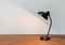 Mid-Century German 6556 Table Lamp by Christian Dell for Kaiser Idell, 1960s, Image 16