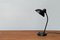 Mid-Century German 6556 Table Lamp by Christian Dell for Kaiser Idell, 1960s 10