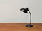 Mid-Century German 6556 Table Lamp by Christian Dell for Kaiser Idell, 1960s 1