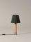 Nickel and Green Basic M1 Table Lamp by Santiago Roqueta for Santa & Cole 3