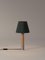 Nickel and Green Basic M1 Table Lamp by Santiago Roqueta for Santa & Cole 2