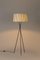 Lámpara de pie Bretona Tripode G5 de Santa & Cole, Imagen 3
