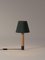 Bronze and Green Basic M1 Table Lamp by Santiago Roqueta for Santa & Cole 2