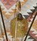 Lámpara de pie trípode Mid-Century de latón y vidrio, años 50, Imagen 7