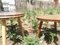 Supports pour Plantes en Bois et Formica, Set de 2 3