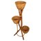 Italian Flower Stands in Rattan and Bamboo, 1960s 1