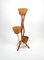 Italian Flower Stands in Rattan and Bamboo, 1960s 5