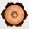 Flower-Shaped Opaque Brown Glass Pendant Lamp from Peill & Putzler, Europe, 1970, Image 13