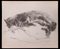 Giselle Halff, Sleeping Cats, Dessin au Crayon de Carbone, 1957 1