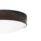 Large Iron Oxide Ceiling Lamp from Konsthantverk, Image 5