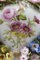 Portaprofumi in porcellana policroma di Meissen, Immagine 6
