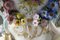 Portaprofumi in porcellana policroma di Meissen, Immagine 14
