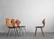 Lulli Dining Chairs in Steel and Wood by Carlo Ratti for Ilc Lissone, 1950s, Set of 4 3