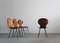 Lulli Dining Chairs in Steel and Wood by Carlo Ratti for Ilc Lissone, 1950s, Set of 4 4