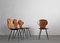 Lulli Dining Chairs in Steel and Wood by Carlo Ratti for Ilc Lissone, 1950s, Set of 4, Image 2
