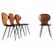 Lulli Dining Chairs in Steel and Wood by Carlo Ratti for Ilc Lissone, 1950s, Set of 4 1