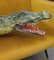 Crocodile Ceramic Sculpture, Italy, 1960s 10