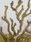 Centrotavola in ottone a forma di corallo e conchiglie, anni '50, Immagine 6