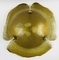 Large Brass and Murano Glass Flower-Shaped Wall or Ceiling Lamp from Peill & Putzler, Germany, 1970s 4