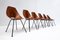 Mid-Century Chairs by Vittorio Nobili for Fratelli Tagliabue, Italy, Set of 6 2