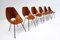 Mid-Century Chairs by Vittorio Nobili for Fratelli Tagliabue, Italy, Set of 6 7