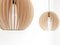 AION Birch Pendant Light by Paul Girardet for Iumi 3