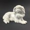German Japanese Chin Dog Figurine in Porcelain by Erich Hösel for Meissen, 1950s 2