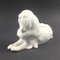 German Japanese Chin Dog Figurine in Porcelain by Erich Hösel for Meissen, 1950s 4