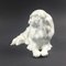 Figura de perro Chin alemán japonés de porcelana de Erich Hösel para Meissen, años 50, Imagen 3