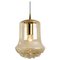 Vintage Pendant Light in Smoked Brown Glass and Brass from Peill and Putzler, 1960s 1