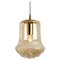 Vintage Pendant Light in Smoked Brown Glass and Brass from Peill and Putzler, 1960s, Image 1