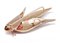 Rose Gold Dragonfly Shape Brooch, Image 2