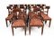 19th Century Twin Pillar Regency Dining Table and William IV Dining Chairs, Set of 11 12