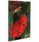 Daria Petrilli, Collection Blossom, La Fille Spanish, 2022, Impression Numérique, Topsec Mat - 67,50x90 Cm 3