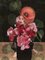 Daria Petrilli, Blossom Collection, Bouquet, 2022, Digital Print 1