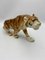 Tigre di Royal Dux, Immagine 3