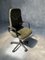 Vintage Office Chair by Albert Stoll for Giroflex 4