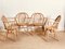 Vintage Armchairs by Lucina Ercolani for Ercol, Set of 4 1