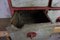 Antique Wooden Workshop Cabinet, Image 5