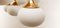 Oval Glass Cone Ceiling Light 21