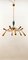 12 Lights Chandelier from Stilnovo 12